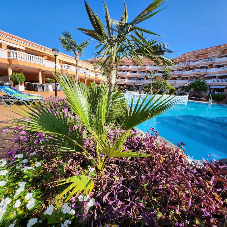 Tenerife Holidays Deluxe, Royal Garden, Las Americas بلايا ذي لاس أميريكاس المظهر الخارجي الصورة