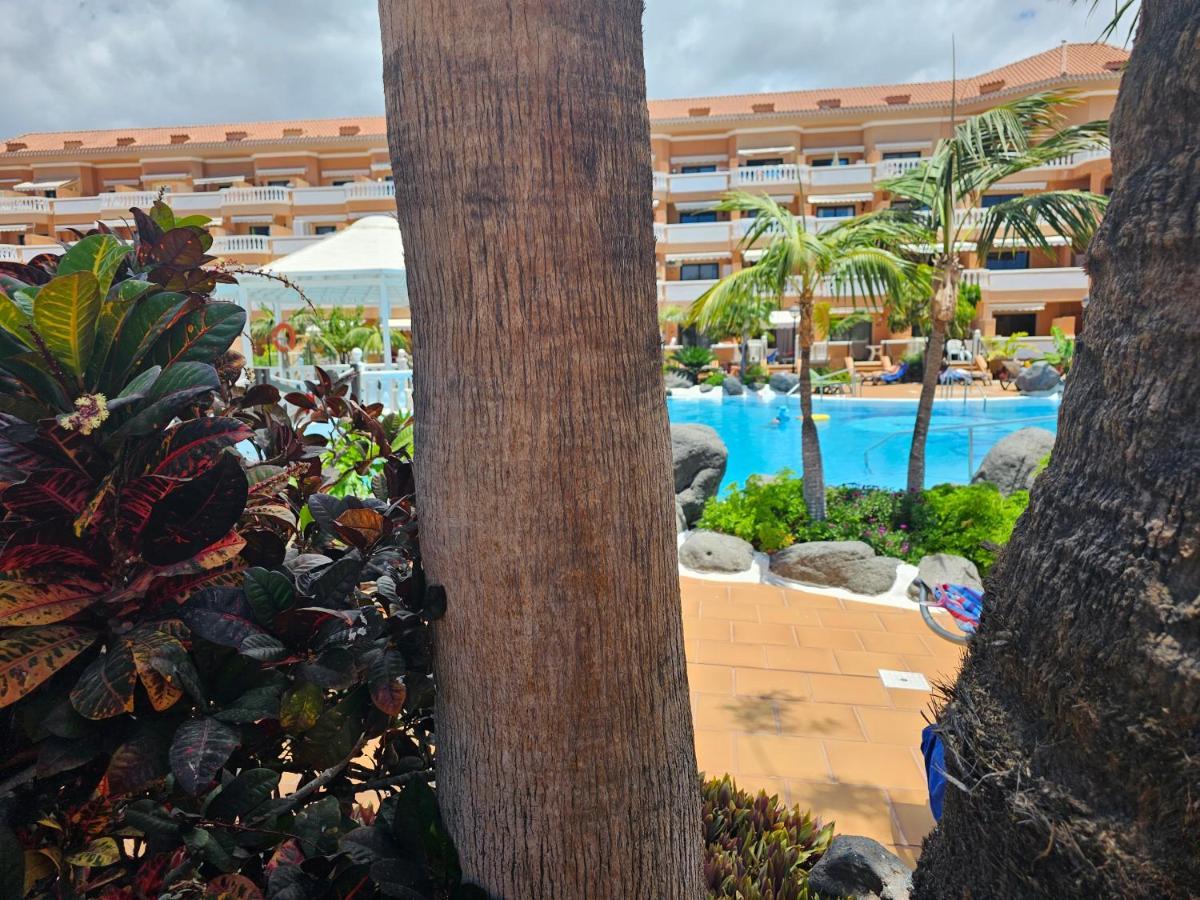 Tenerife Holidays Deluxe, Royal Garden, Las Americas بلايا ذي لاس أميريكاس المظهر الخارجي الصورة